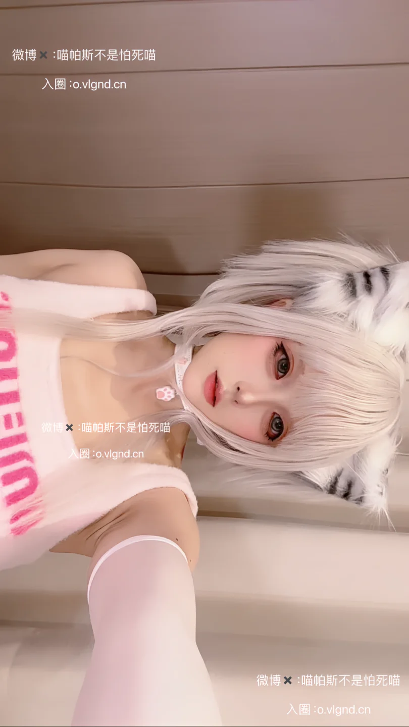 喵帕斯不是怕死喵（喵帕斯）_日常喵_26P,1V_188MB 004.webp