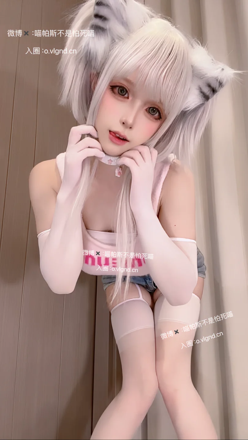 喵帕斯不是怕死喵（喵帕斯）_日常喵_26P,1V_188MB 010.webp