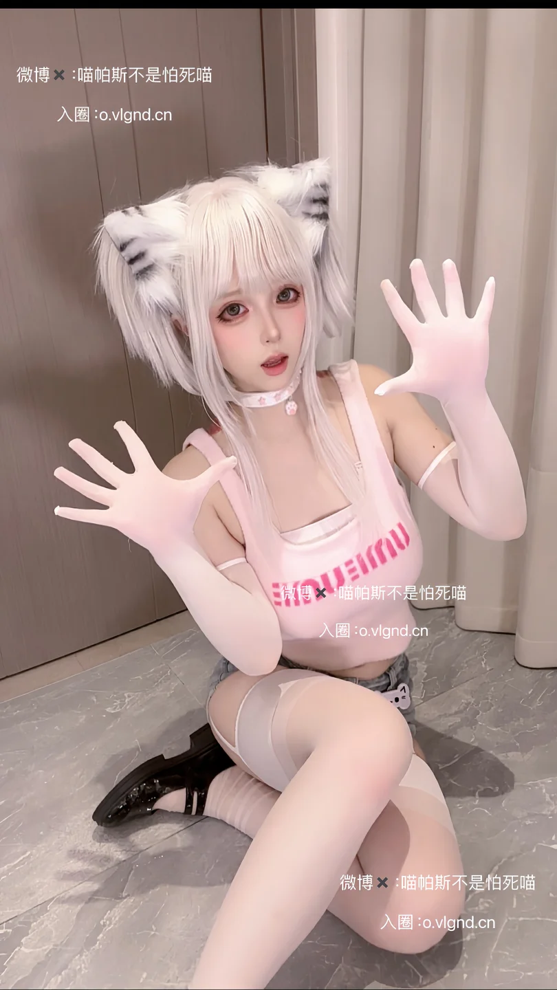 喵帕斯不是怕死喵（喵帕斯）_日常喵_26P,1V_188MB 019.webp