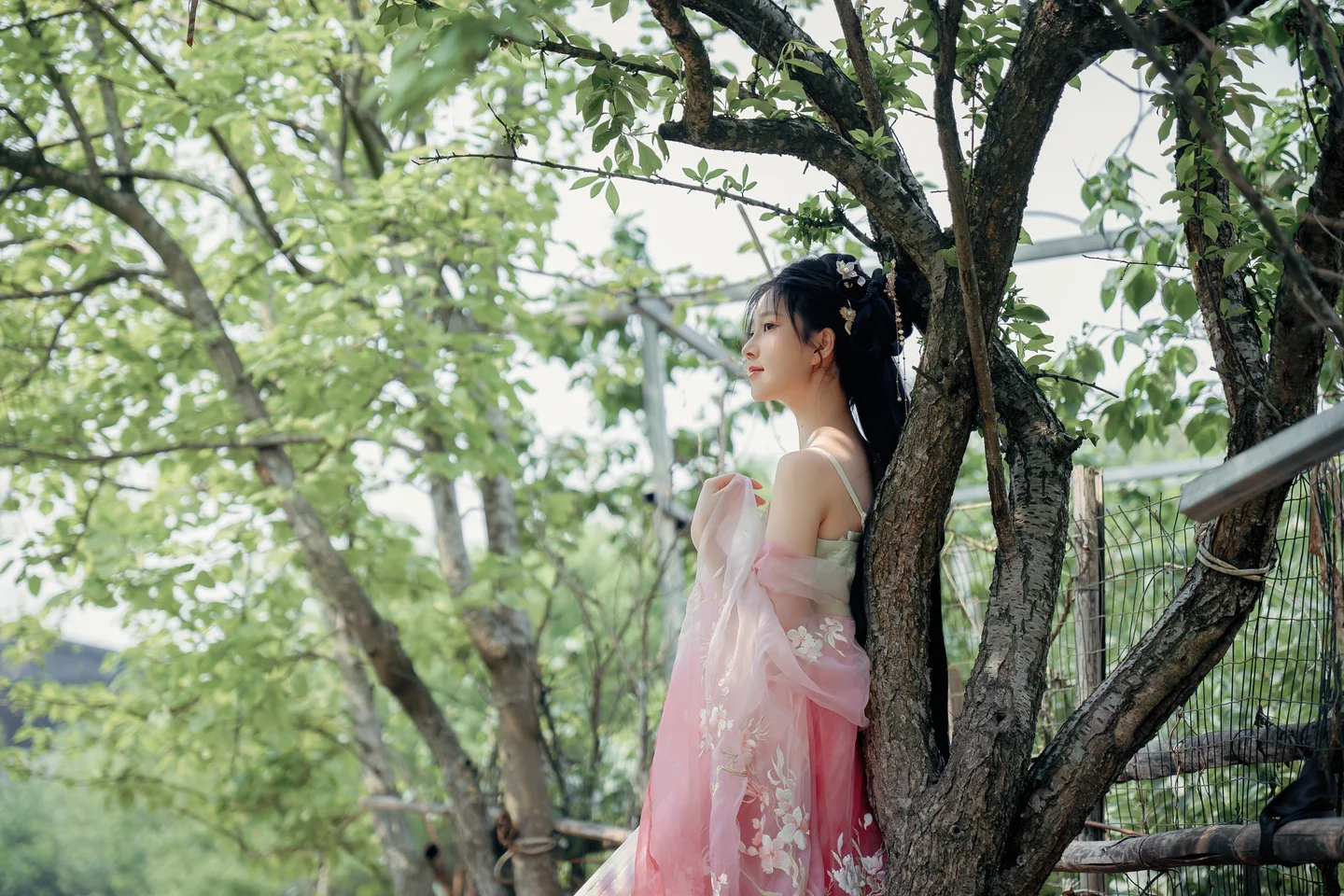 年年 – 海棠仙 [84P-358MB] 【丝足阁写真】019.webp