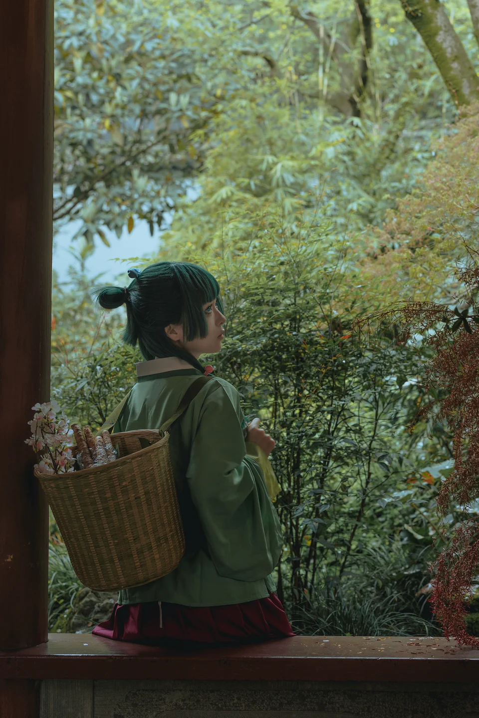 矢量鱼 - Maomao [52P-327MB]
