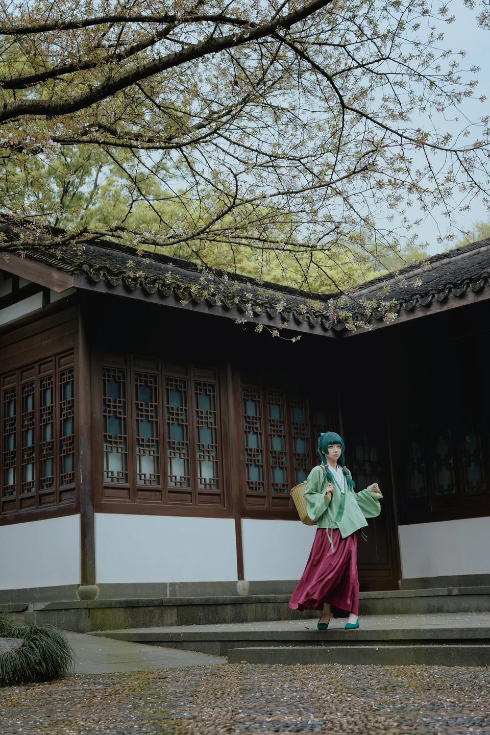 矢量鱼 - Maomao [52P-327MB] 007.webp