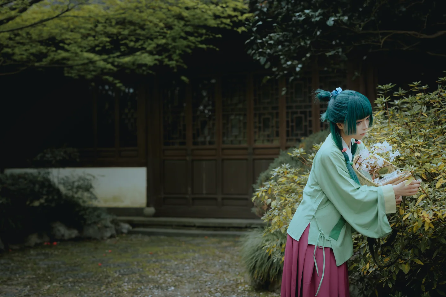 矢量鱼 - Maomao [52P-327MB] 011.webp