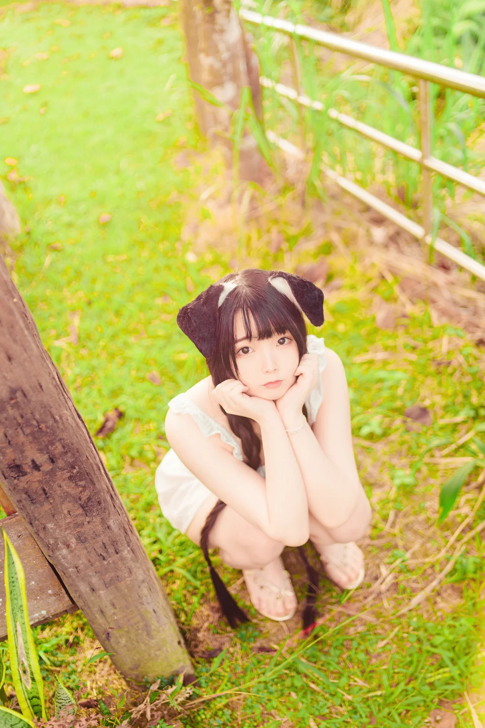 落落Raku - 999新台幣訂閱 Your Puppy! [49P-424 002.webp