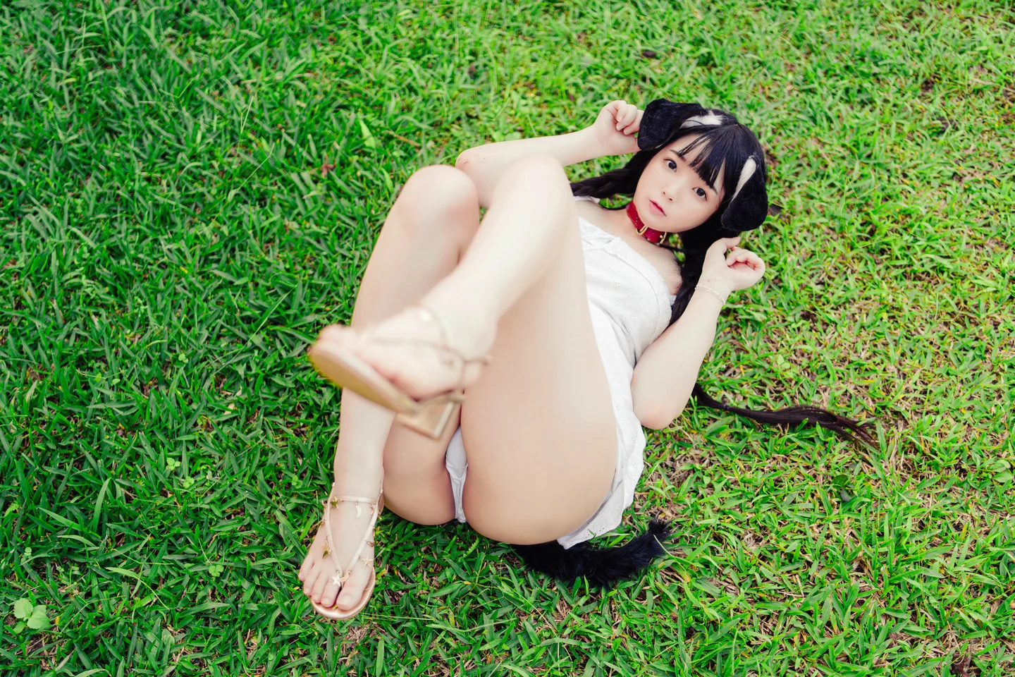 落落Raku - 999新台幣訂閱 Your Puppy! [49P-424 013.webp