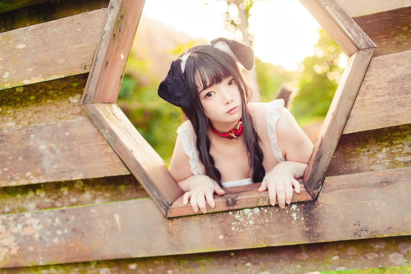 落落Raku - 999新台幣訂閱 Your Puppy! [49P-424 016.webp