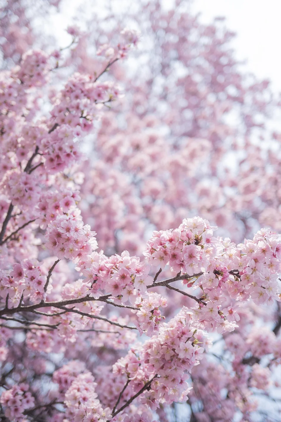 ElyEE子 - April Set B 2025 [30P,1V-33MB] 030.webp