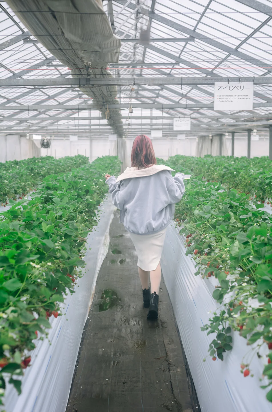 ElyEE子 - Strawberry Picking Date [34P2V-135MB] 【丝足阁写真】003.webp
