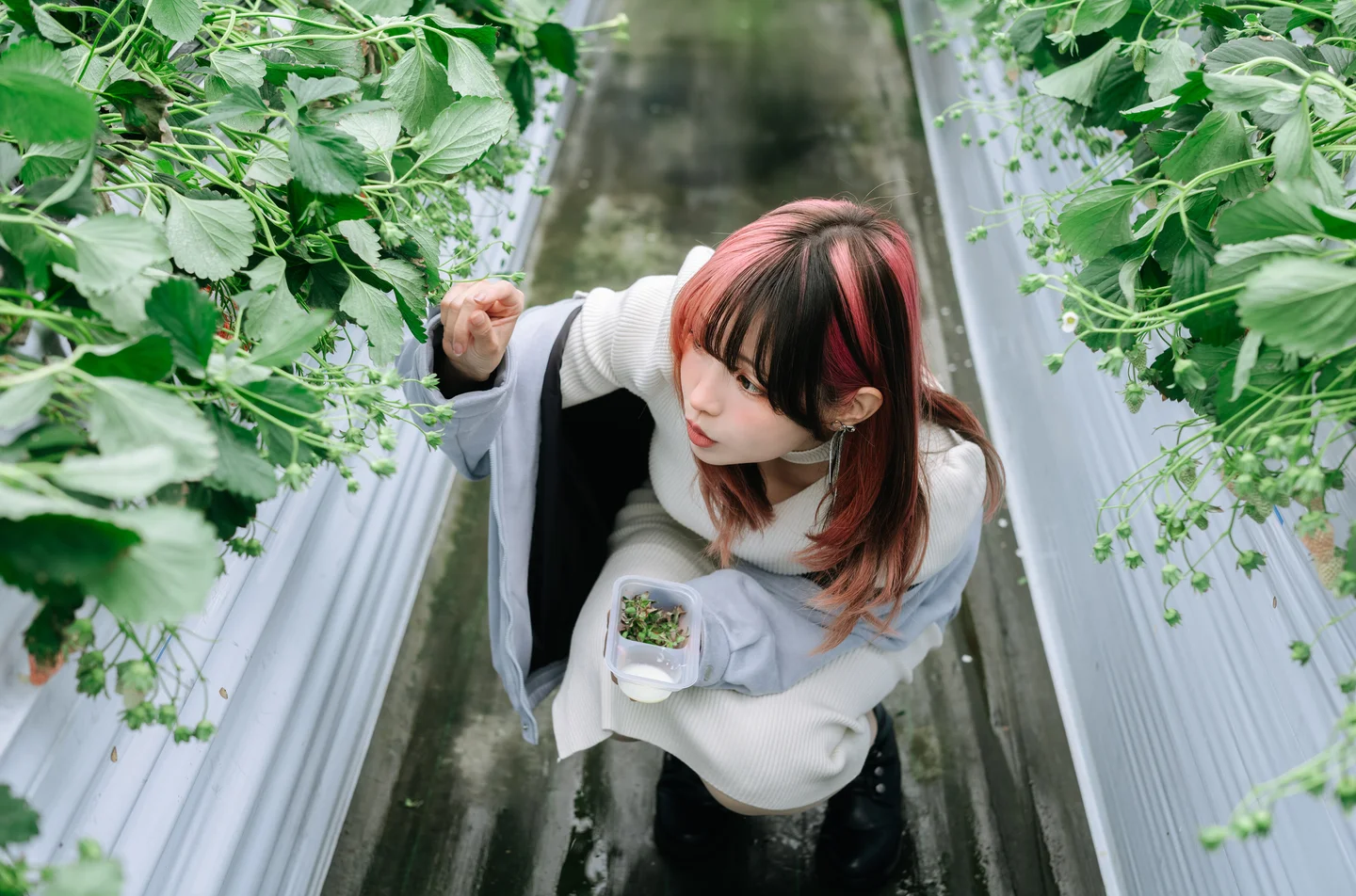 ElyEE子 - Strawberry Picking Date [34P2V-135MB] 【丝足阁写真】020.webp