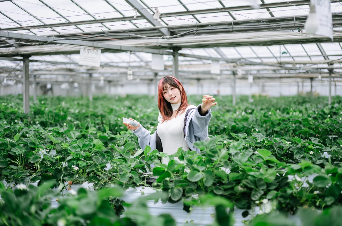 ElyEE子 - Strawberry Picking Date [34P2V-135MB] 【丝足阁写真】025.webp