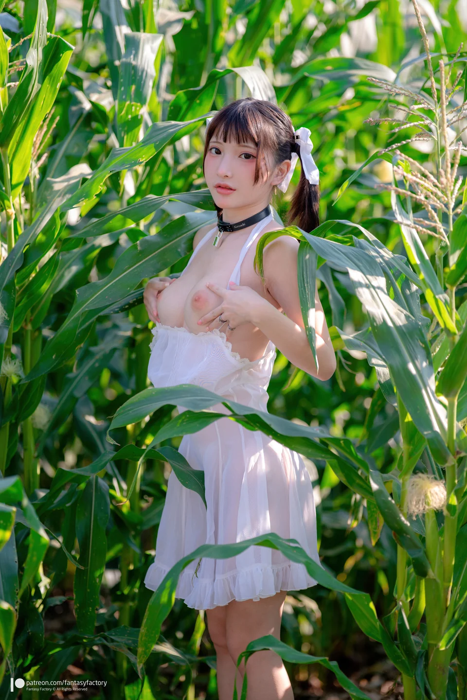Fantasy Factory 小丁 - 野外露出 [50P-2.17GB] 004.webp