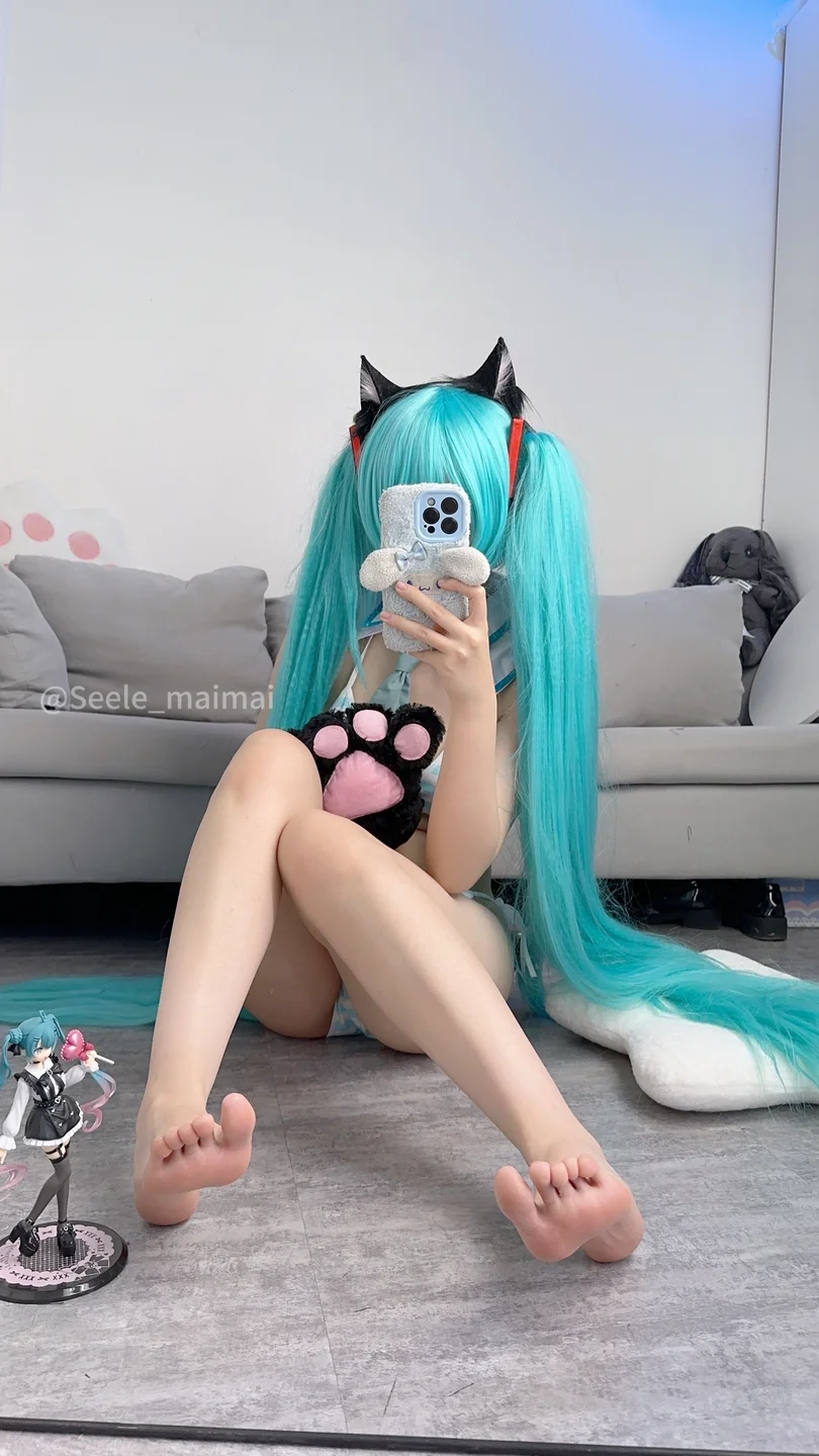 Seele麦麦 – 初音未来 [80P] 20240915-222219(60).webp