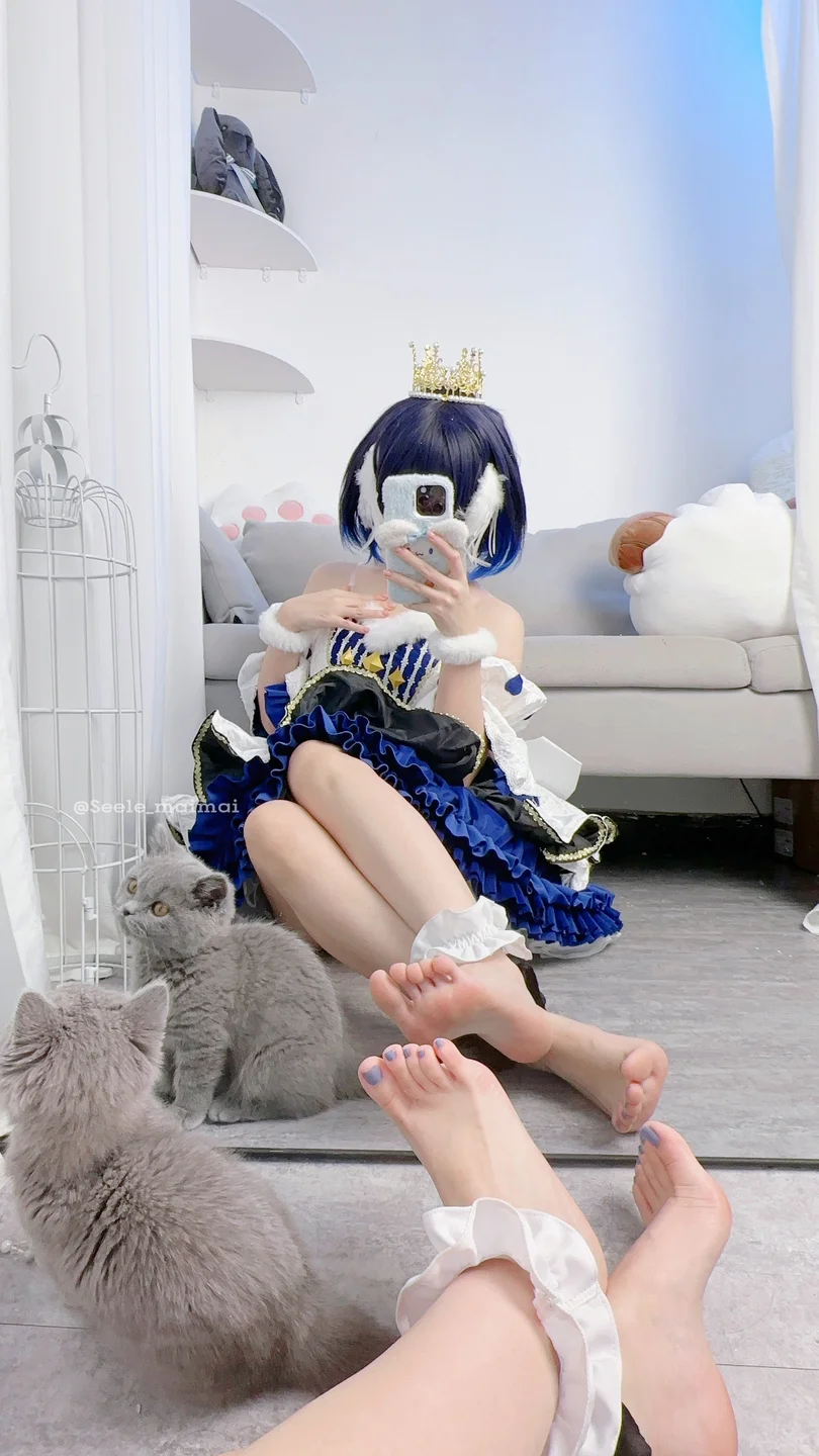 Seele麦麦 - No.019 麦麦希儿回忆录 [322P-388MB] 0153.webp