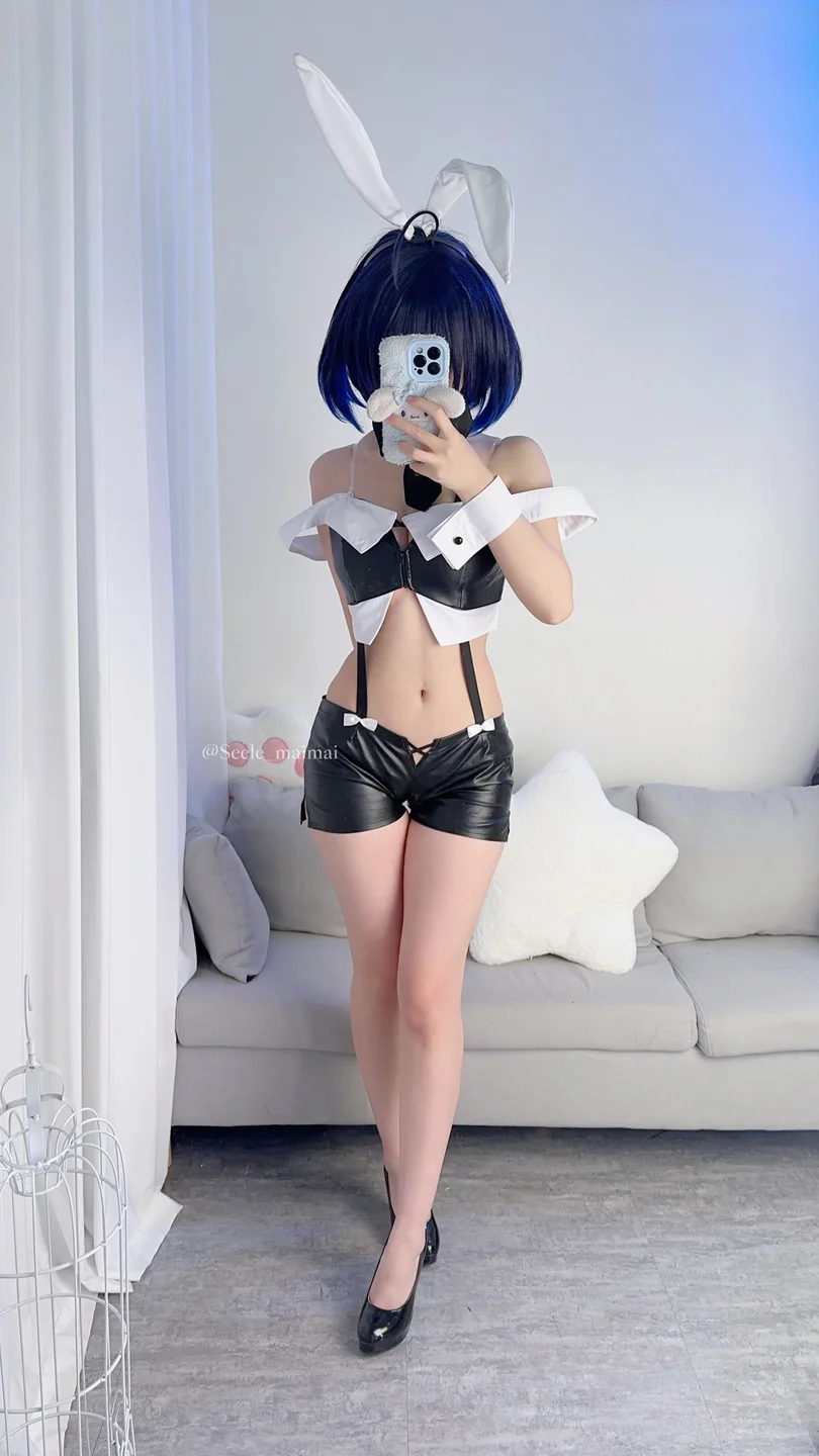 Seele麦麦 - No.026 崩坏3：希儿·兔女郎[83P-146MB] tg@simisebaisi001.webp