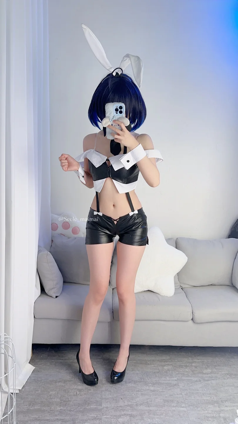 Seele麦麦 - No.026 崩坏3：希儿·兔女郎[83P-146MB]