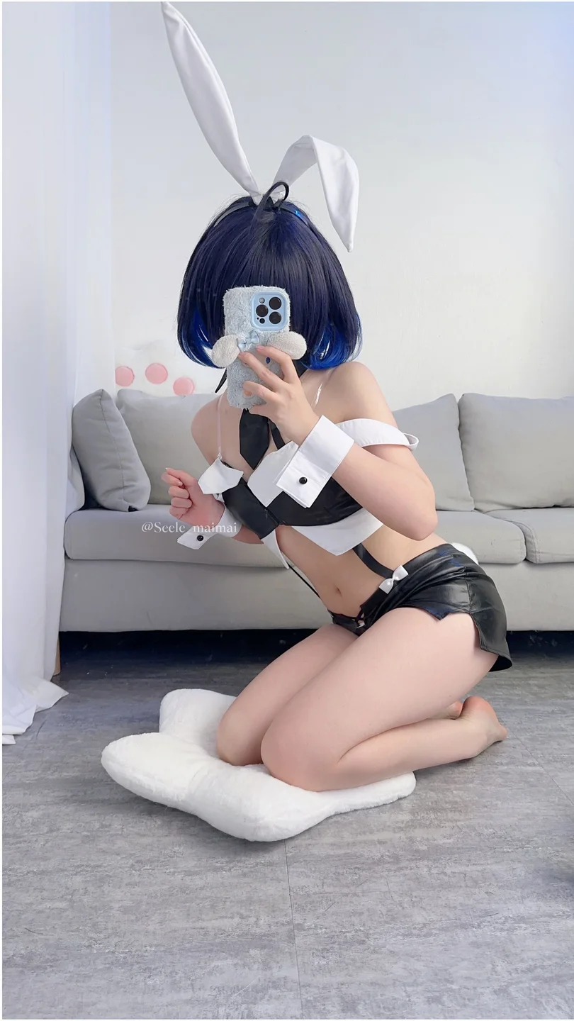 Seele麦麦 - No.026 崩坏3：希儿·兔女郎[83P-146MB] tg@simisebaisi011.webp