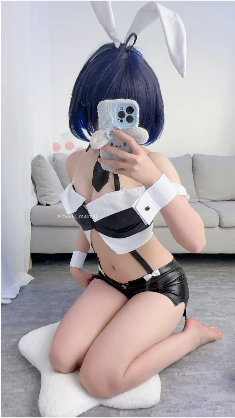 Seele麦麦 - No.026 崩坏3：希儿·兔女郎[83P-146MB] tg@simisebaisi024.webp