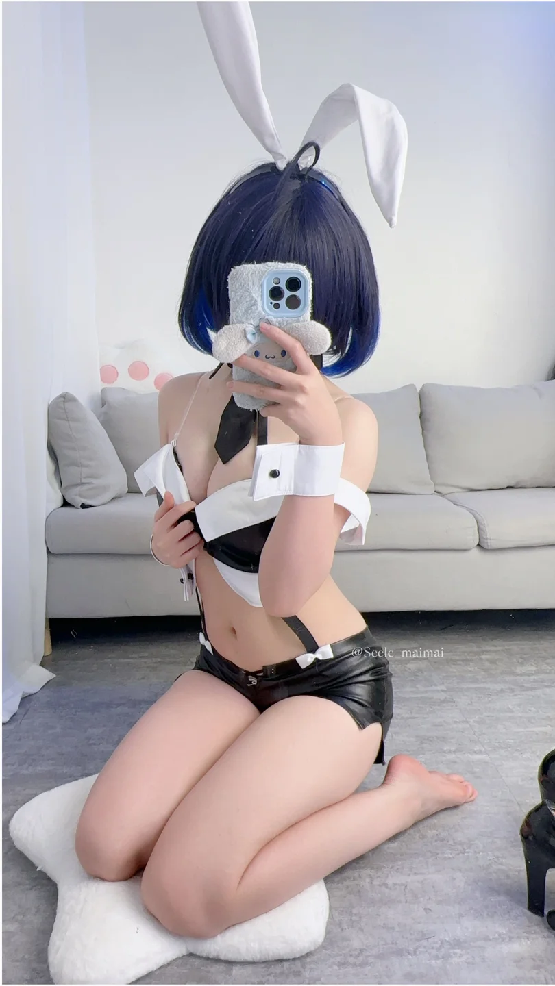 Seele麦麦 - No.026 崩坏3：希儿·兔女郎[83P-146MB] tg@simisebaisi027.webp