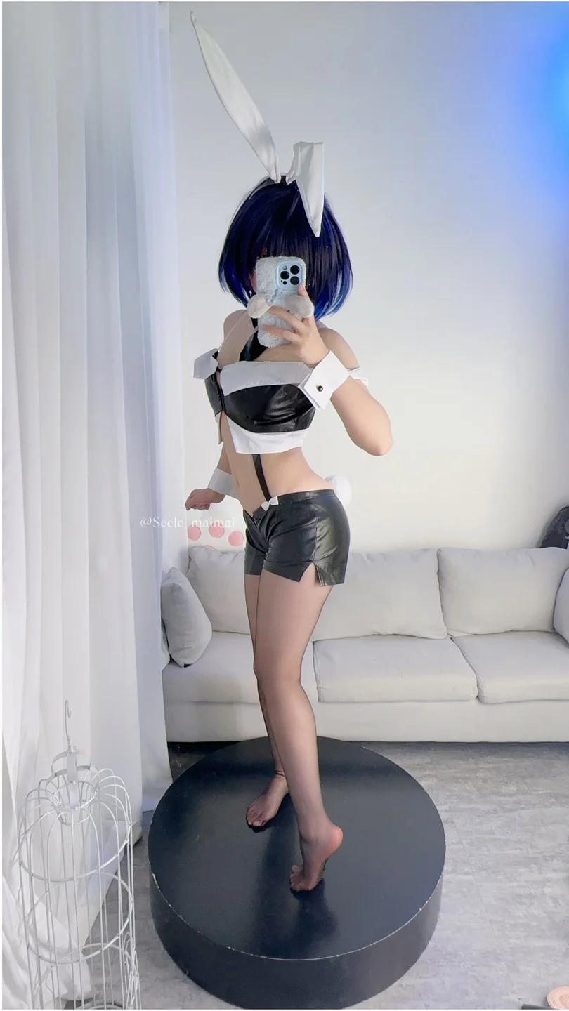 Seele麦麦 - No.026 崩坏3：希儿·兔女郎[83P-146MB] tg@simisebaisi047.webp