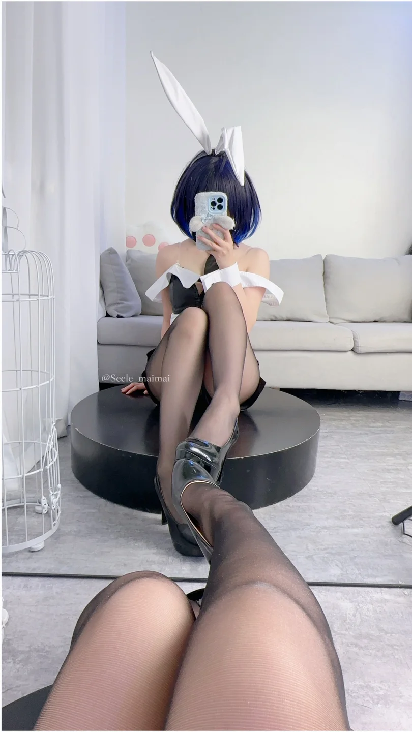 Seele麦麦 - No.026 崩坏3：希儿·兔女郎[83P-146MB] tg@simisebaisi051.webp