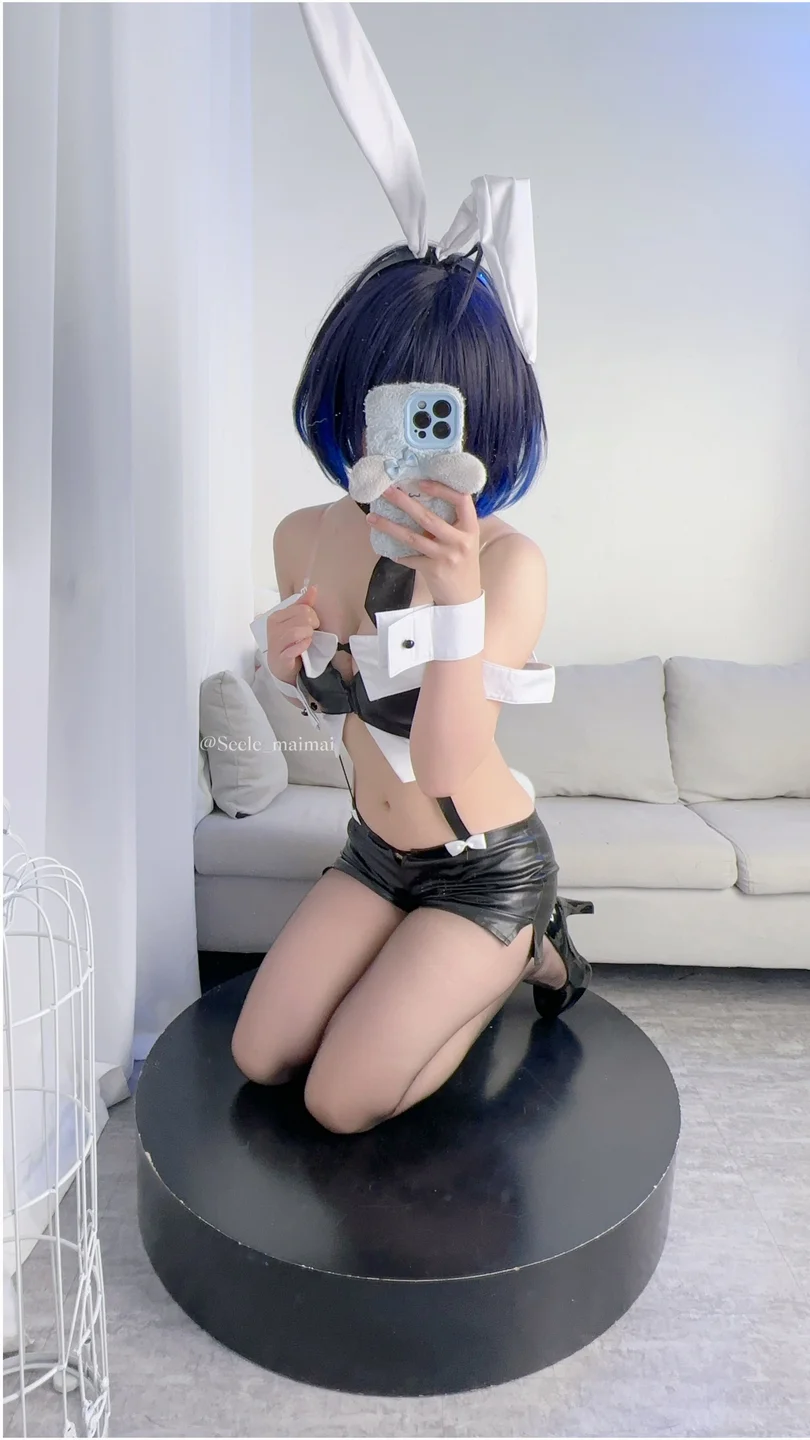 Seele麦麦 - No.026 崩坏3：希儿·兔女郎[83P-146MB] tg@simisebaisi054.webp