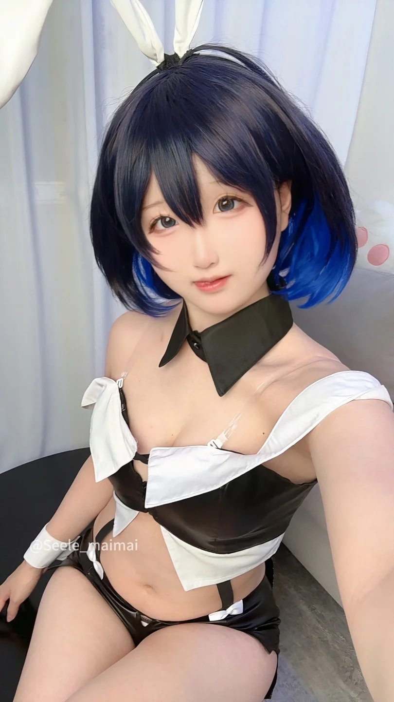 Seele麦麦 - No.026 崩坏3：希儿·兔女郎[83P-146MB] tg@simisebaisi061.webp