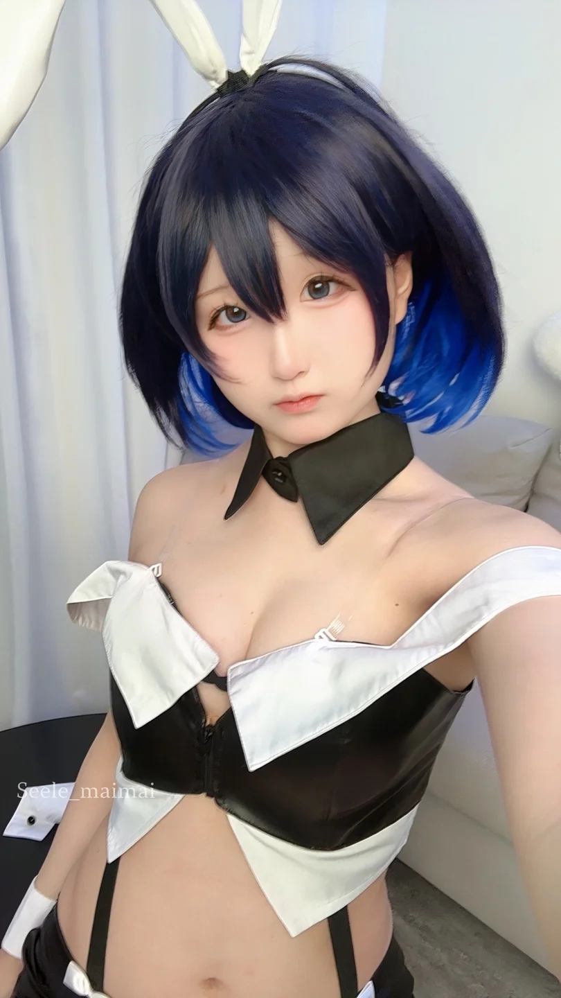 Seele麦麦 - No.026 崩坏3：希儿·兔女郎[83P-146MB] tg@simisebaisi063.webp