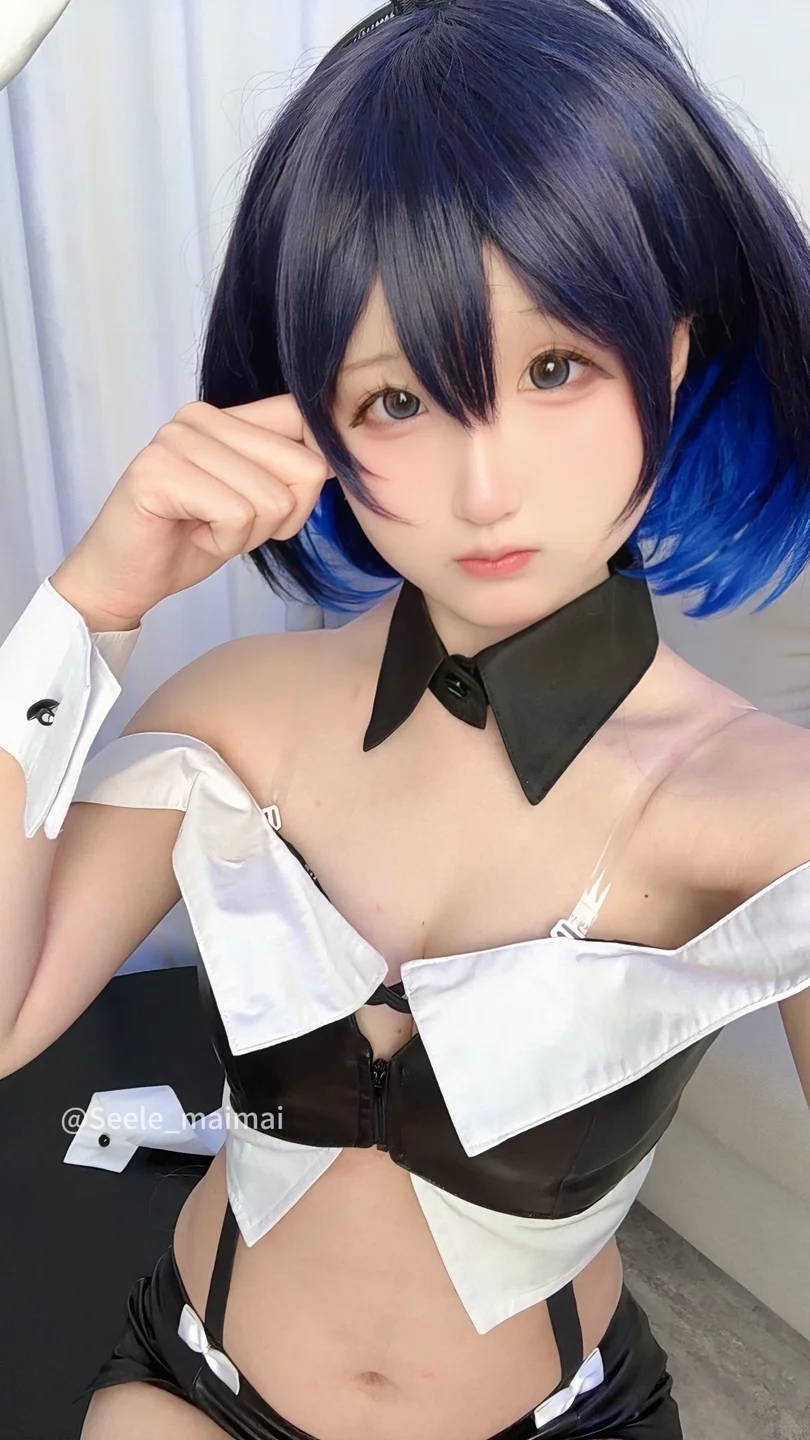 Seele麦麦 - No.026 崩坏3：希儿·兔女郎[83P-146MB] tg@simisebaisi066.webp