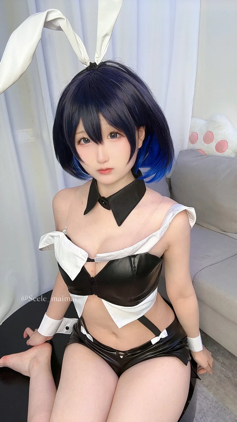 Seele麦麦 - No.026 崩坏3：希儿·兔女郎[83P-146MB] tg@simisebaisi071.webp