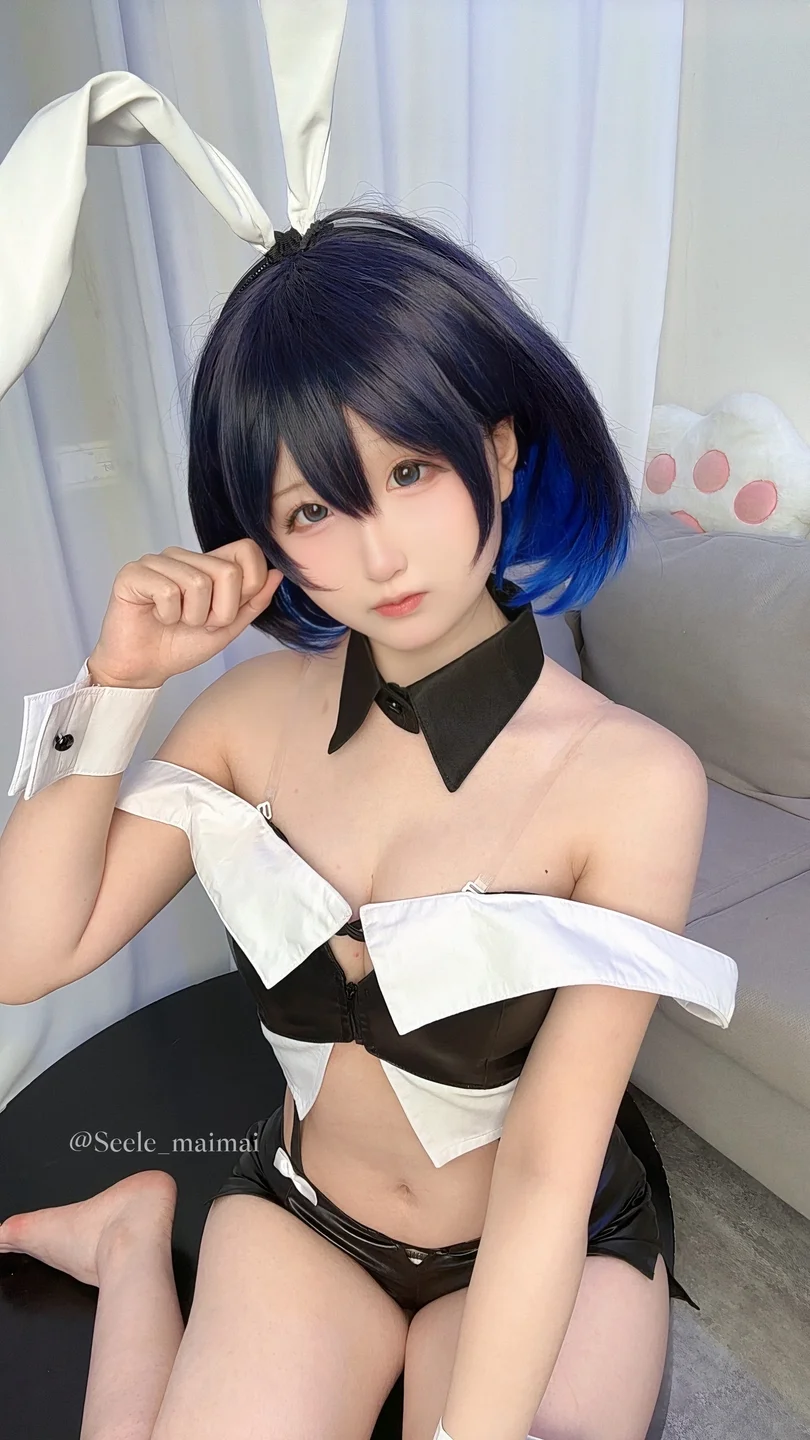 Seele麦麦 - No.026 崩坏3：希儿·兔女郎[83P-146MB] tg@simisebaisi074.webp