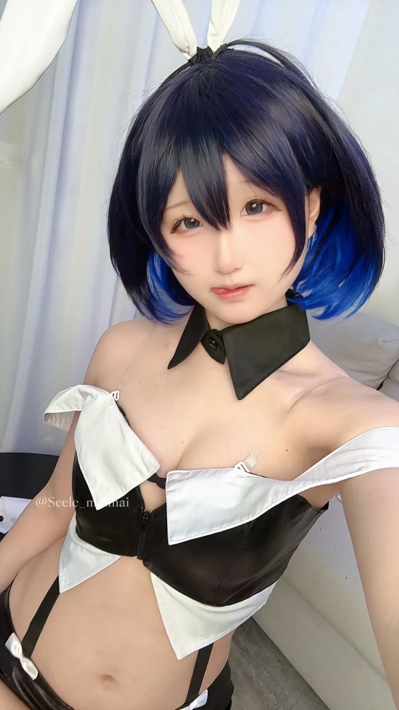 Seele麦麦 - No.026 崩坏3：希儿·兔女郎[83P-146MB] tg@simisebaisi083.webp